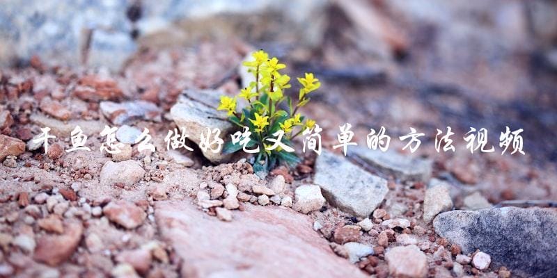看视频学干鱼简单又美味的烹饪方法