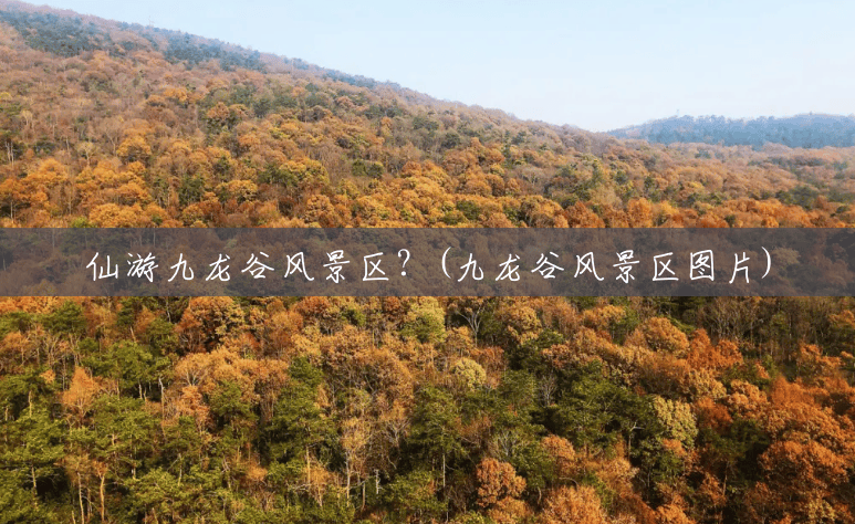 仙游九龙谷风景区?(九龙谷风景区图片) 仙游九龙谷风景区?(九龙谷风景区图片)