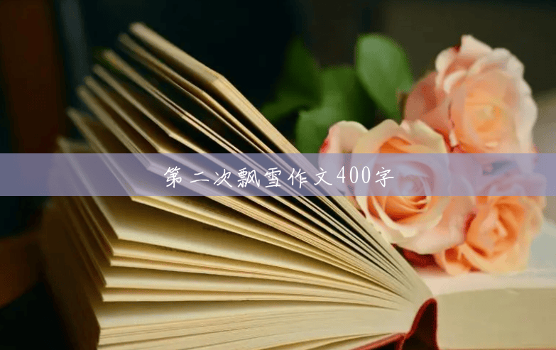 第二次飘雪作文400字 第二次飘雪作文400字