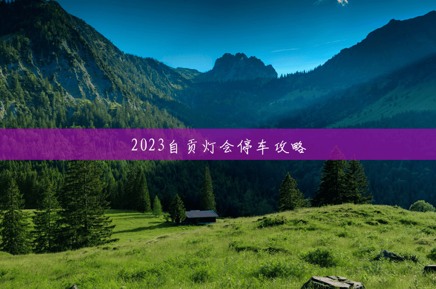 2023自贡灯会停车攻略 2023自贡灯会停车攻略