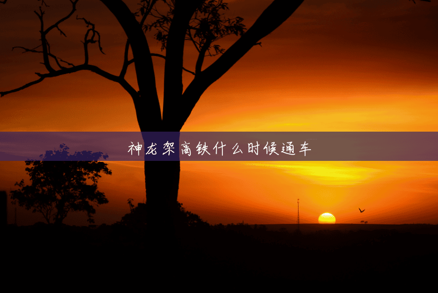 神龙架高铁什么时候通车