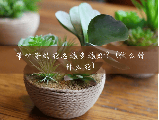 带竹字的花名越多越好?(什么竹什么花) 带竹字的花名越多越好?(什么竹什么花)