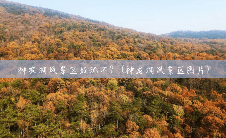 神农洞风景区好玩不?(神龙洞风景区图片) 神农洞风景区好玩不?(神龙洞风景区图片)