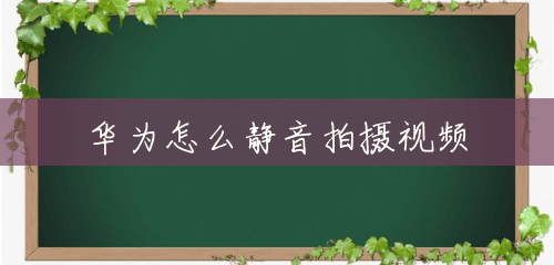 华为怎么静音拍摄视频 华为怎么静音拍摄视频