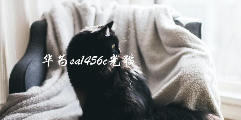 华为sa1456c光猫 华为sa1456c光猫
