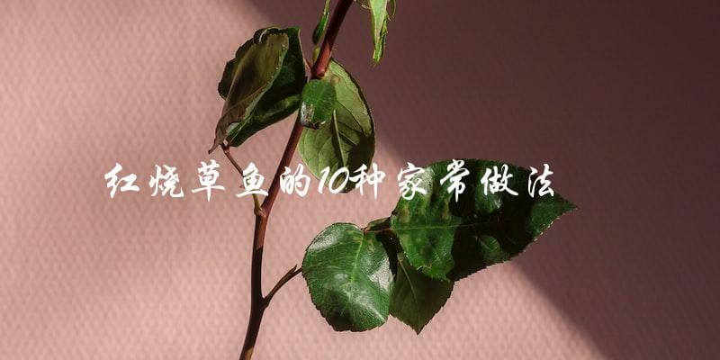 10种家常红烧草鱼做法,让你轻松掌握美味技巧! 10种家常红烧草鱼做法,让你轻松掌握美味技巧!