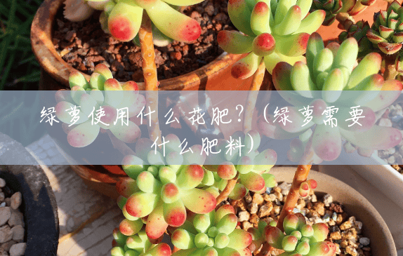 绿萝使用什么花肥？(绿萝需要什么肥料)