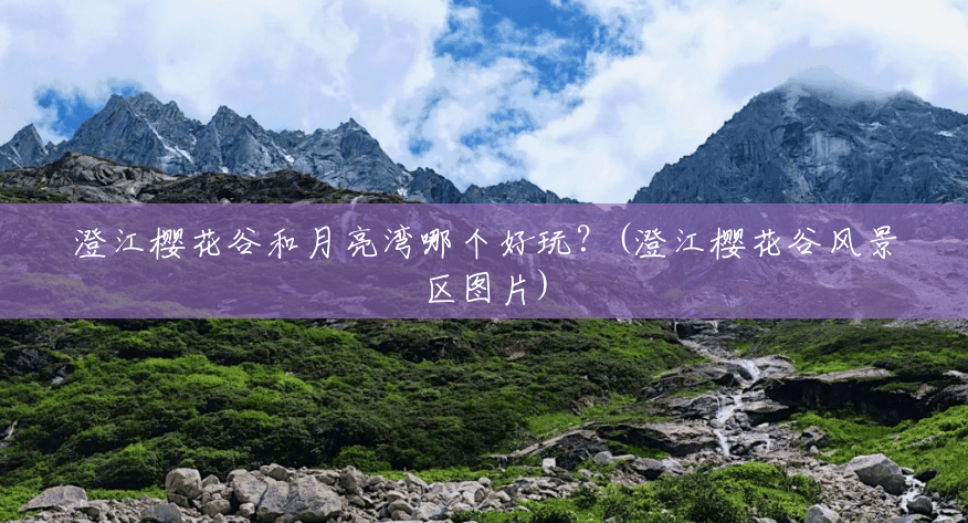 澄江樱花谷和月亮湾哪个好玩?(澄江樱花谷风景区图片) 澄江樱花谷和月亮湾哪个好玩?(澄江樱花谷风景区图片)