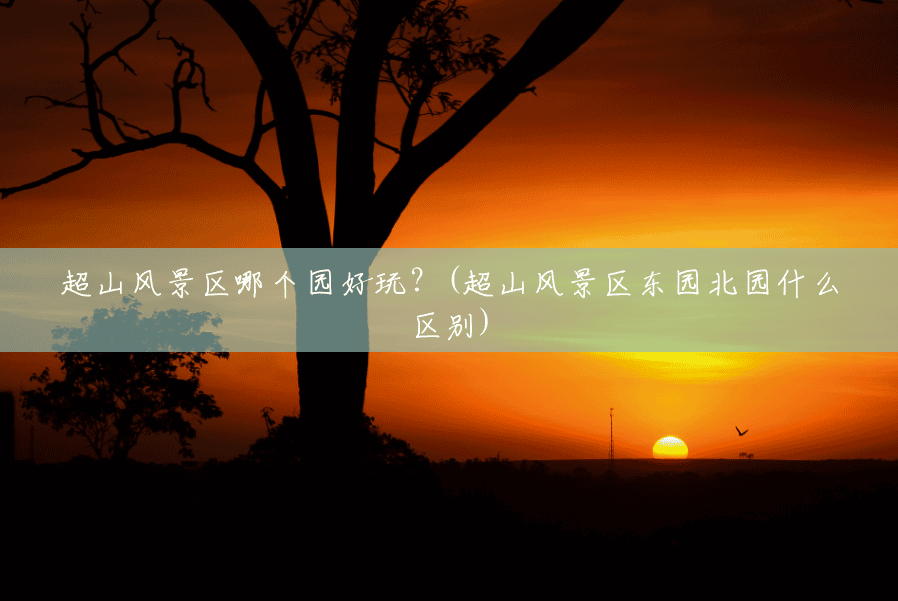 超山风景区哪个园好玩?(超山风景区东园北园什么区别) 超山风景区哪个园好玩?(超山风景区东园北园什么区别)