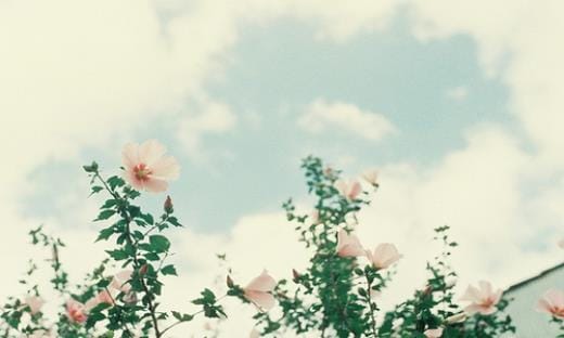 男生减肥说说心情短语