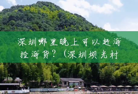 深圳哪里晚上可以赶海捡海货?(深圳坝光村风景区在哪) 深圳哪里晚上可以赶海捡海货?(深圳坝光村风景区在哪)