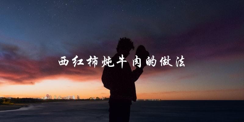 西红柿炖牛肉的做法 西红柿炖牛肉的做法