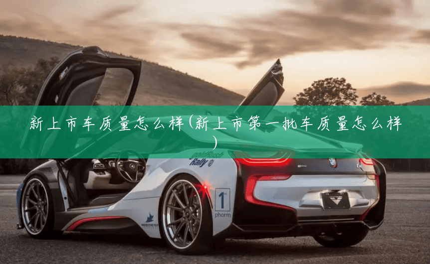 新上市车质量怎么样(新上市第一批车质量怎么样) 新上市车质量怎么样(新上市第一批车质量怎么样)