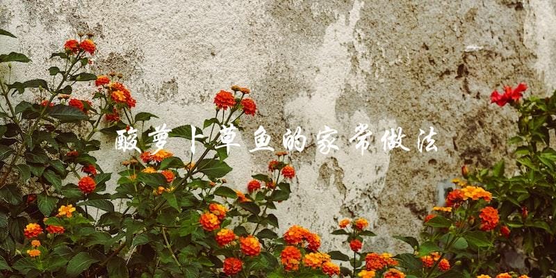 家常做法大公开:酸萝卜草鱼,美味又健康! 家常做法大公开:酸萝卜草鱼,美味又健康!
