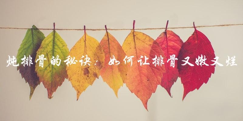 炖排骨的秘诀:如何让排骨又嫩又烂? 炖排骨的秘诀:如何让排骨又嫩又烂?