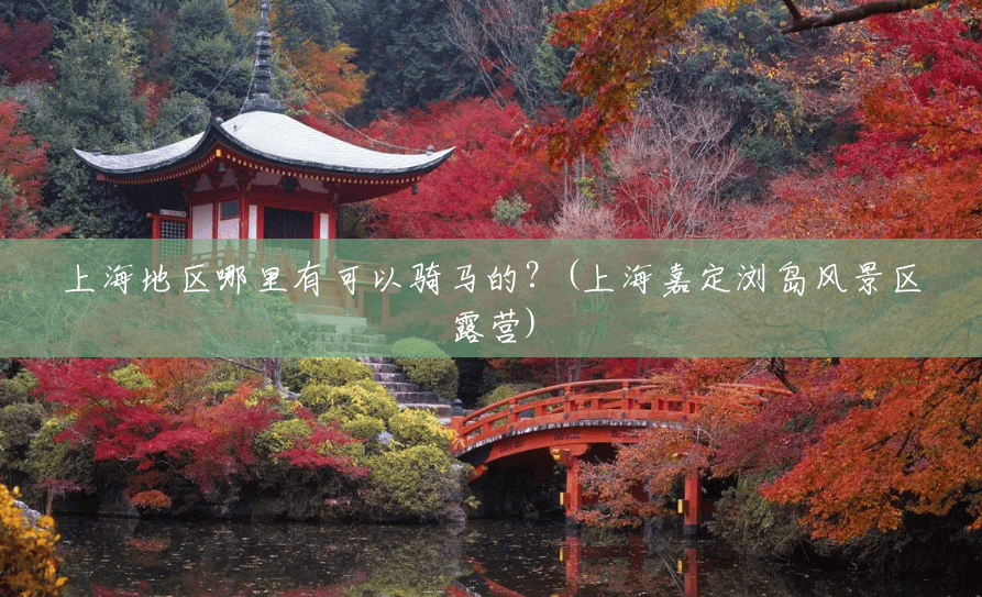 上海地区哪里有可以骑马的？(上海嘉定浏岛风景区露营)