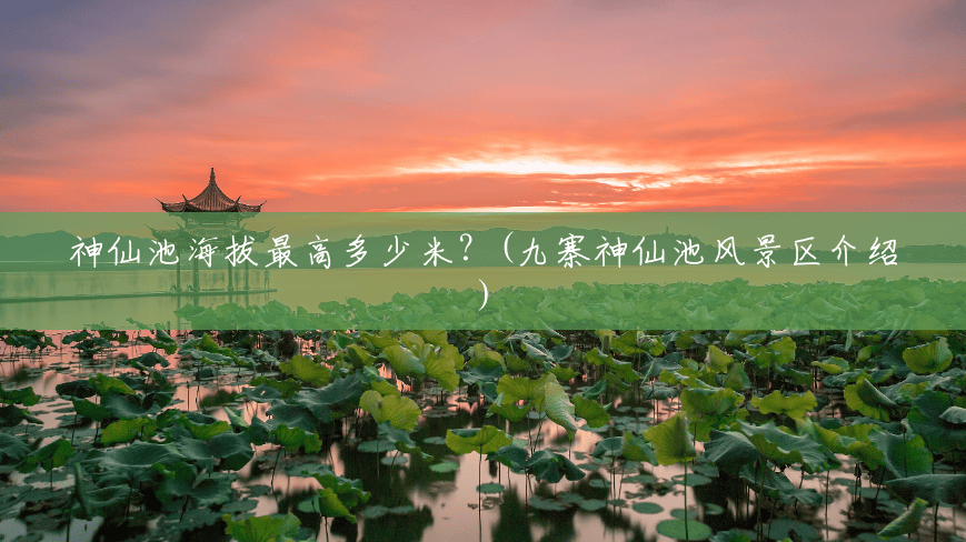神仙池海拔最高多少米?(九寨神仙池风景区介绍) 神仙池海拔最高多少米?(九寨神仙池风景区介绍)