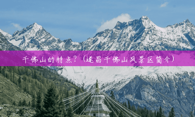千佛山的特点？(遂昌千佛山风景区简介)