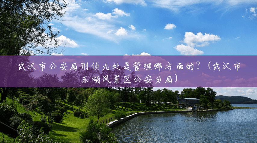 武汉市公安局刑侦九处是管理哪方面的?(武汉市东湖风景区公安分局) 武汉市公安局刑侦九处是管理哪方面的?(武汉市东湖风景区公安分局)