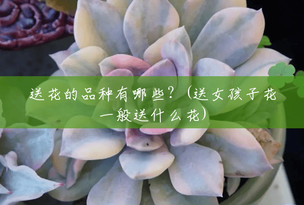 送花的品种有哪些?(送女孩子花一般送什么花) 送花的品种有哪些?(送女孩子花一般送什么花)
