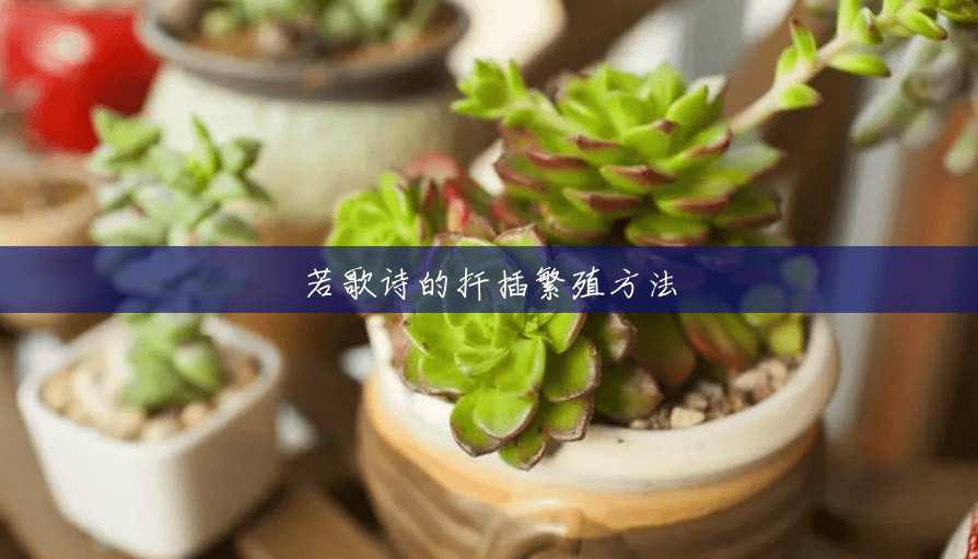 若歌诗的扦插繁殖方法 若歌诗的扦插繁殖方法