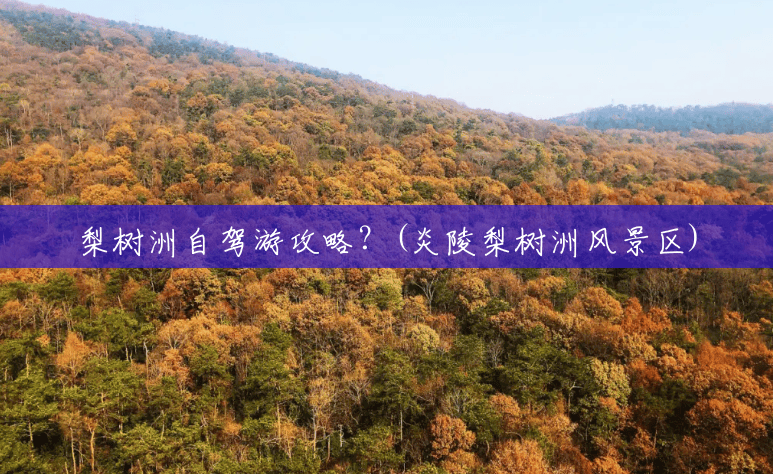 梨树洲自驾游攻略?(炎陵梨树洲风景区) 梨树洲自驾游攻略?(炎陵梨树洲风景区)