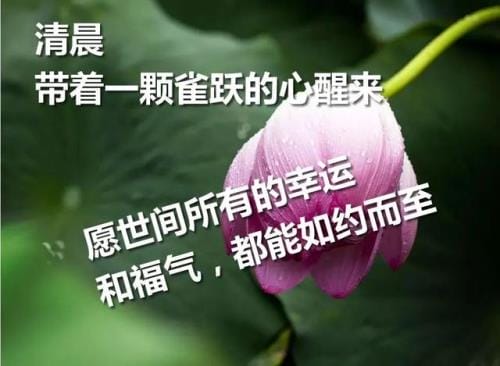 QQ空间个性签名