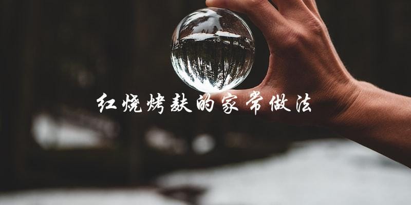 家常红烧烤麸:做法简单易学! 家常红烧烤麸:做法简单易学!