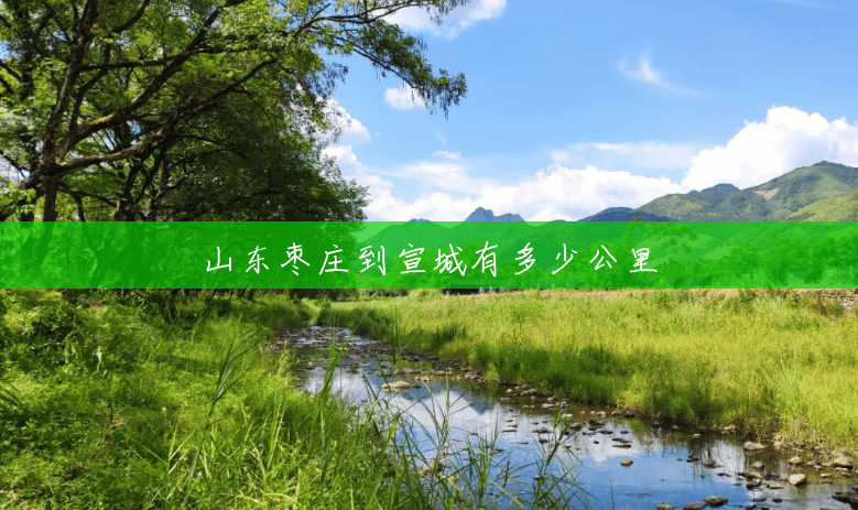 山东枣庄到宣城有多少公里 山东枣庄到宣城有多少公里