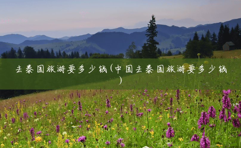 去泰国旅游要多少钱(中国去泰国旅游要多少钱) 去泰国旅游要多少钱(中国去泰国旅游要多少钱)