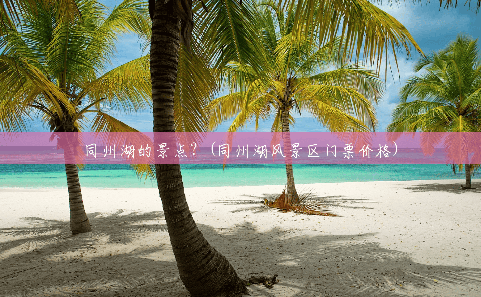 同州湖的景点？(同州湖风景区门票价格)