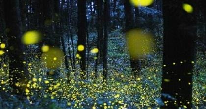 2023年新春祝福语