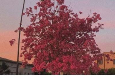 100句古代人所说的名言