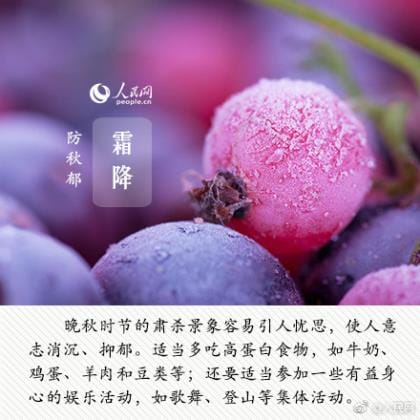 茶感悟人生的经典句子