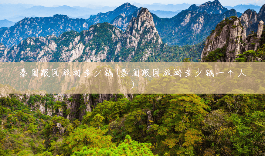 泰国跟团旅游多少钱(泰国跟团旅游多少钱一个人)