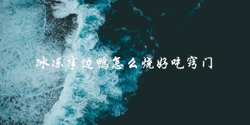冰冻半边鸭烧法大揭秘:让你轻松做出美味口感! 冰冻半边鸭烧法大揭秘:让你轻松做出美味口感!