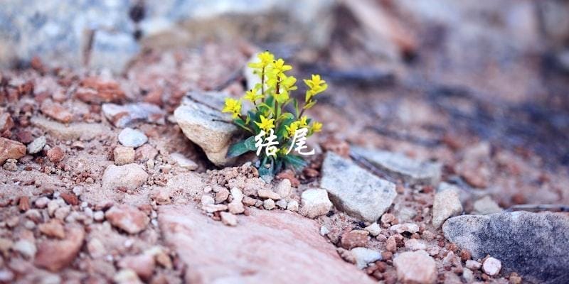 结尾 结尾