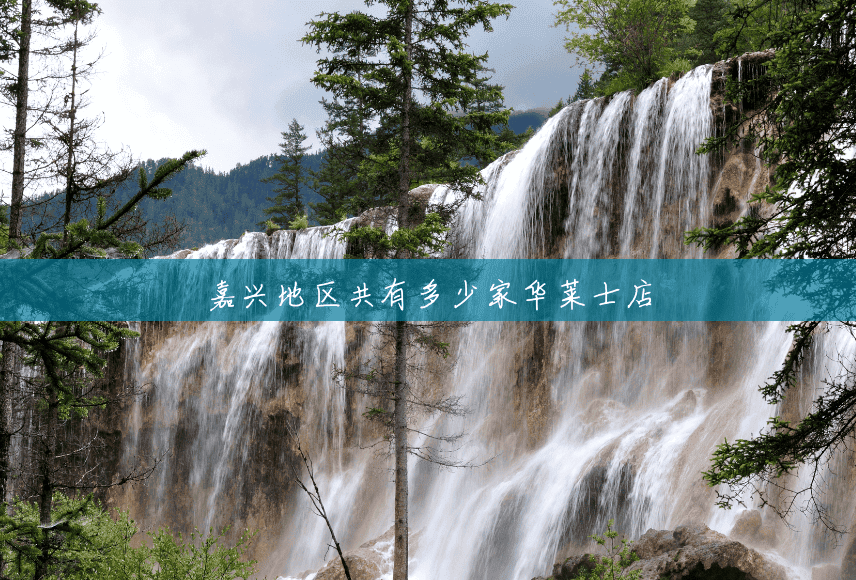 嘉兴地区共有多少家华莱士店 嘉兴地区共有多少家华莱士店
