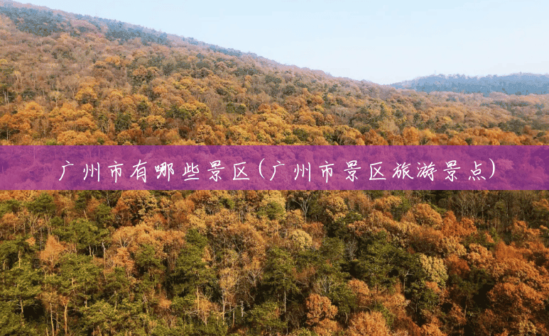 广州市有哪些景区(广州市景区旅游景点)
