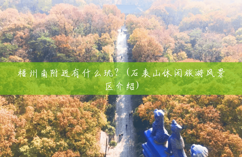 梧州南附近有什么玩?(石表山休闲旅游风景区介绍) 梧州南附近有什么玩?(石表山休闲旅游风景区介绍)