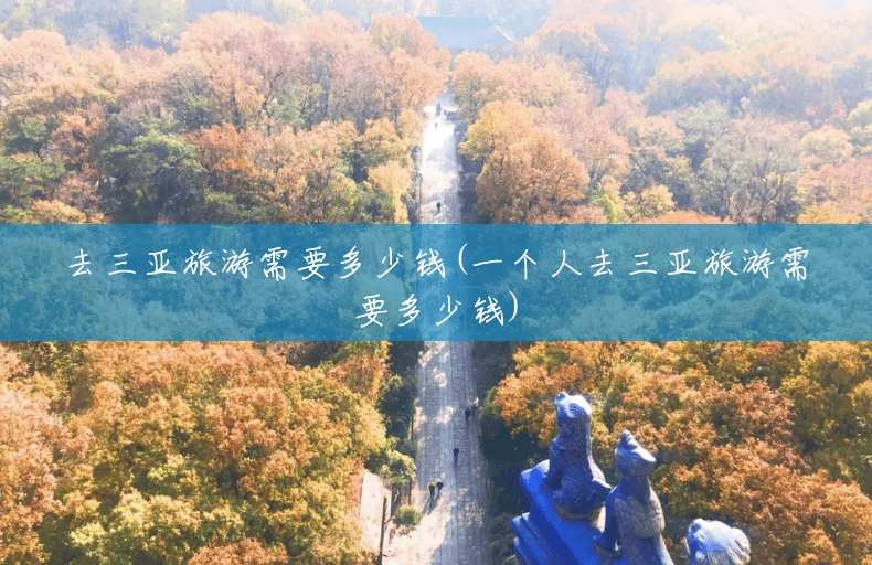 去三亚旅游需要多少钱(一个人去三亚旅游需要多少钱)