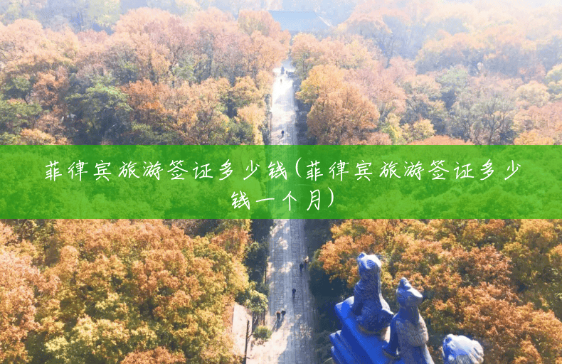菲律宾旅游签证多少钱(菲律宾旅游签证多少钱一个月)