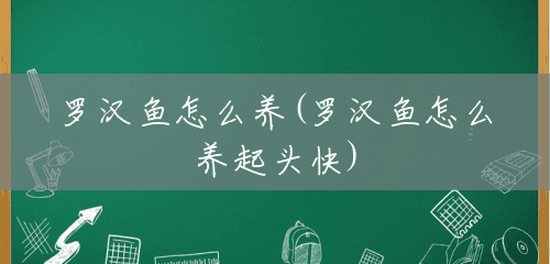 罗汉鱼怎么养(罗汉鱼怎么养起头快) 罗汉鱼怎么养(罗汉鱼怎么养起头快)