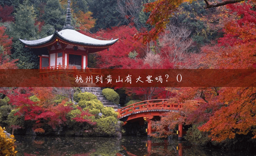 杭州到黄山有大客吗?() 杭州到黄山有大客吗?()