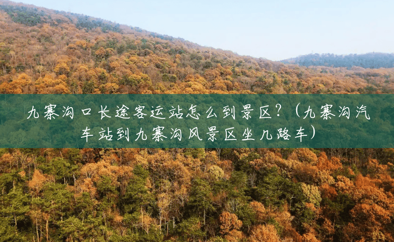 九寨沟口长途客运站怎么到景区？(九寨沟汽车站到九寨沟风景区坐几路车)