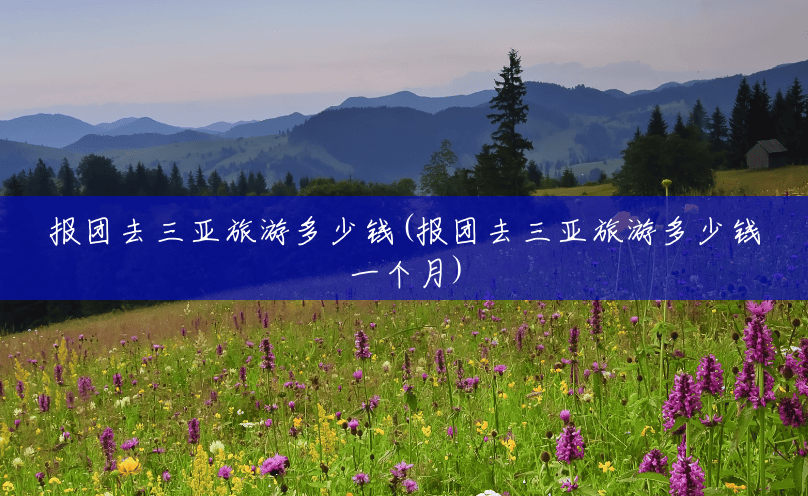报团去三亚旅游多少钱(报团去三亚旅游多少钱一个月)