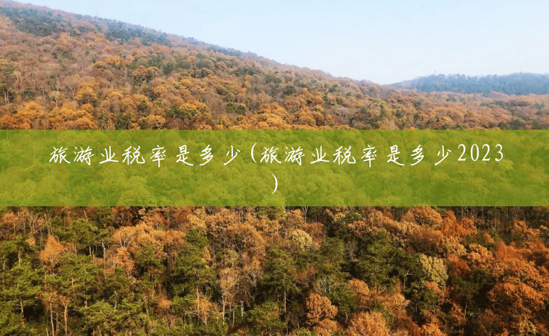 旅游业税率是多少(旅游业税率是多少2023) 旅游业税率是多少(旅游业税率是多少2023)