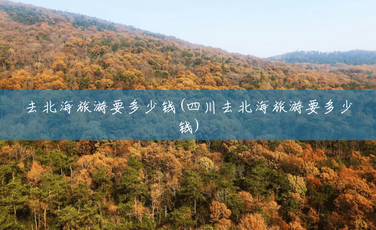 去北海旅游要多少钱(四川去北海旅游要多少钱) 去北海旅游要多少钱(四川去北海旅游要多少钱)