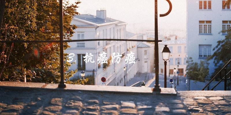 3. 抗癌防癌 3. 抗癌防癌