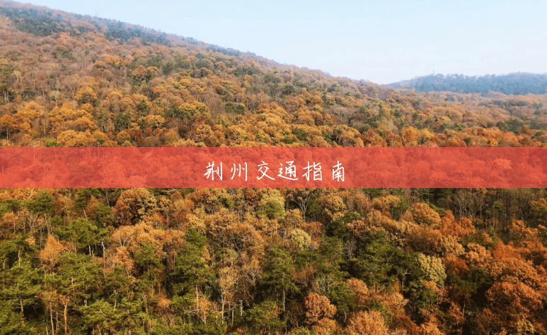 荆州交通指南